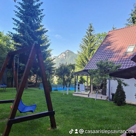 Casa Aris Lepsa Vrancea Hotel Bagian luar foto