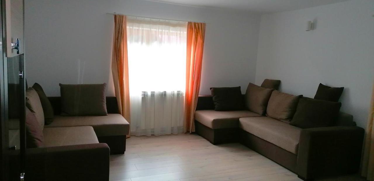 Casa Aris Lepsa Vrancea Hotel Bagian luar foto