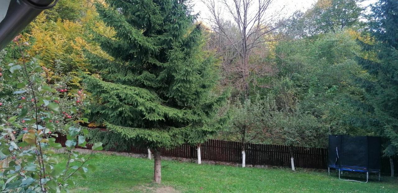 Casa Aris Lepsa Vrancea Hotel Bagian luar foto