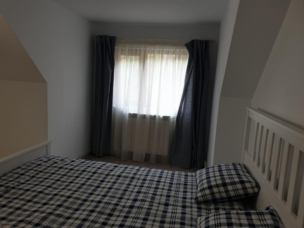 Casa Aris Lepsa Vrancea Hotel Bagian luar foto