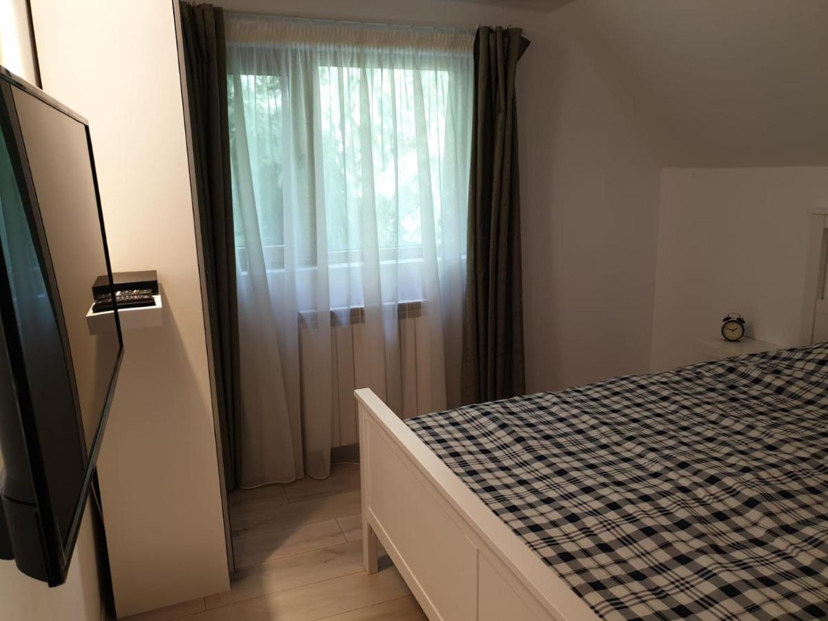 Casa Aris Lepsa Vrancea Hotel Bagian luar foto