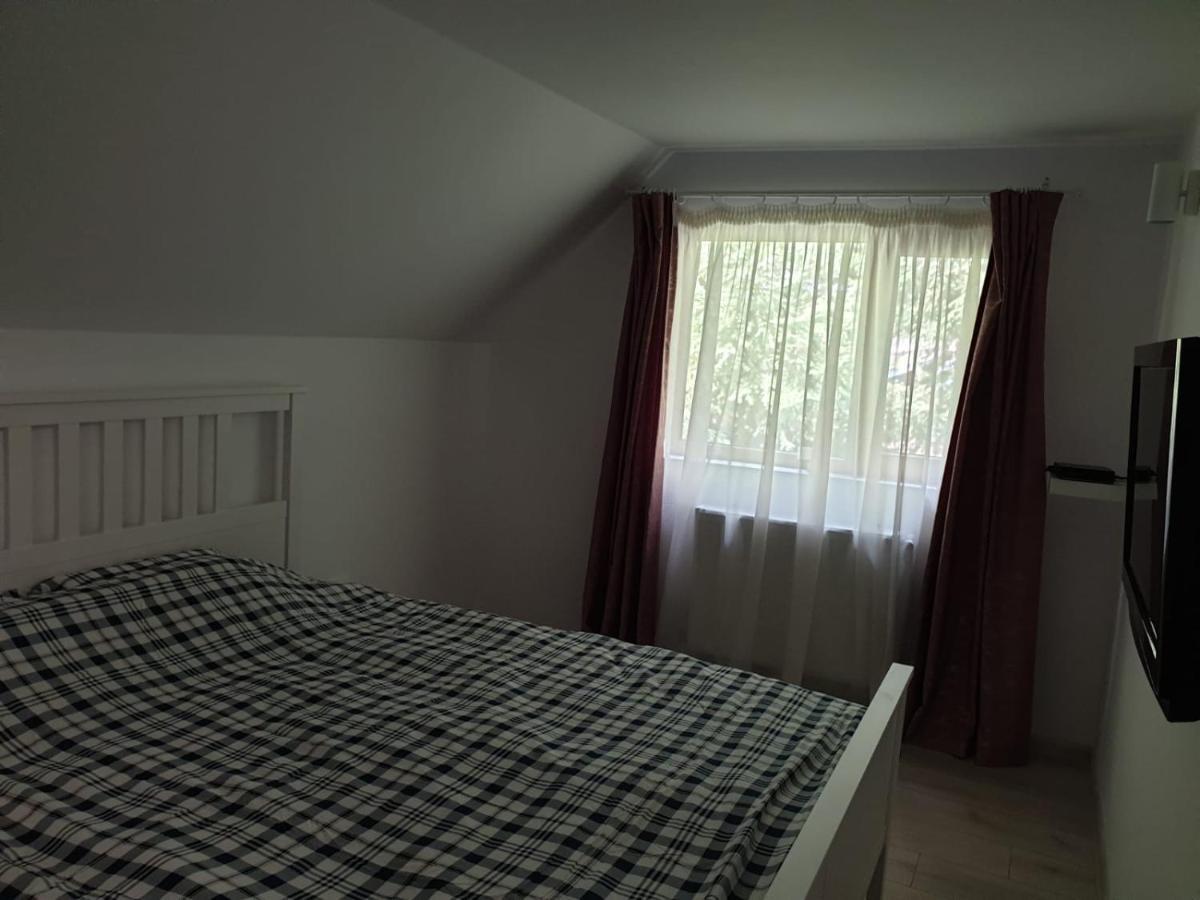 Casa Aris Lepsa Vrancea Hotel Bagian luar foto
