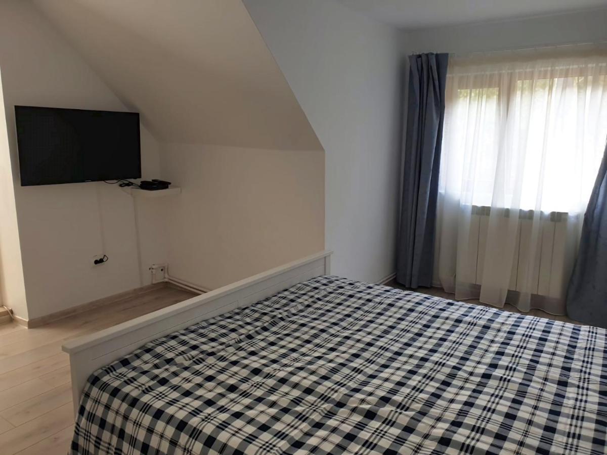 Casa Aris Lepsa Vrancea Hotel Bagian luar foto
