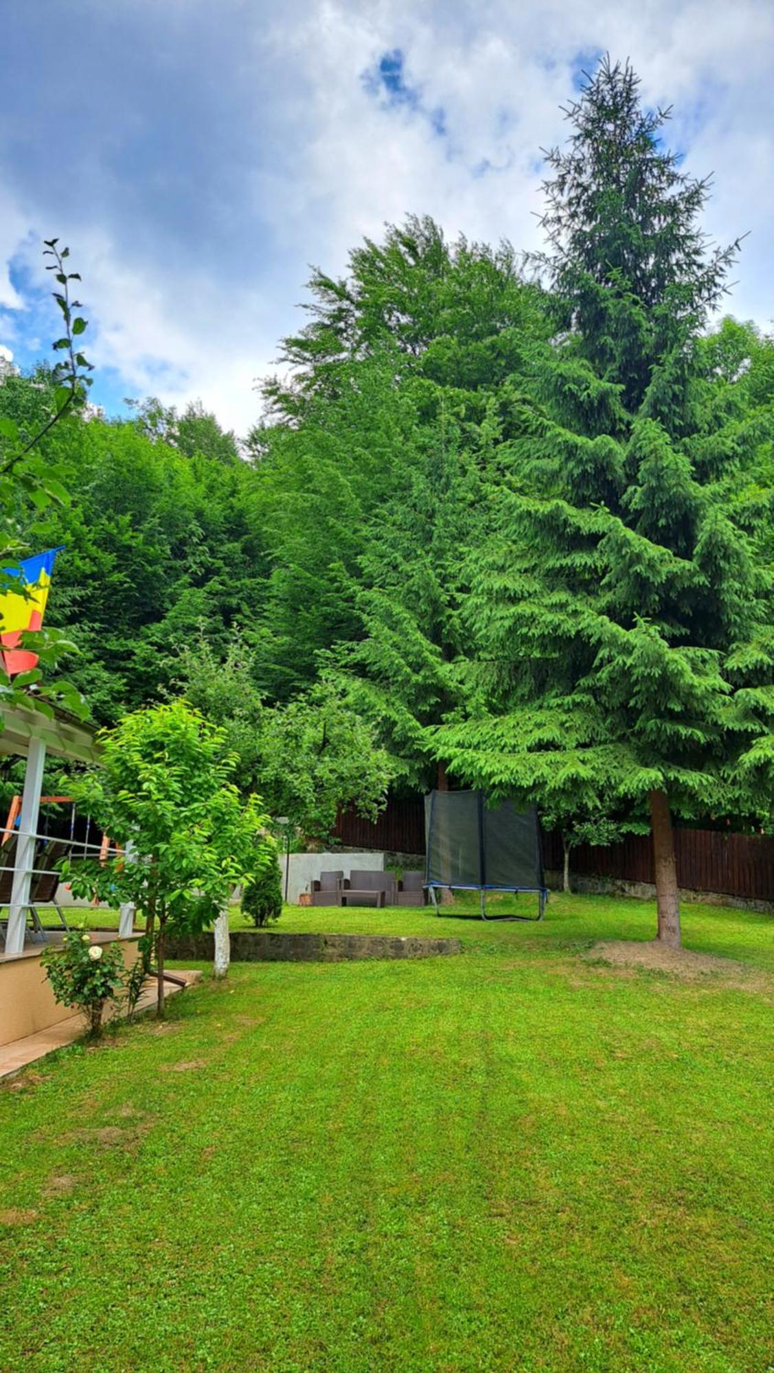 Casa Aris Lepsa Vrancea Hotel Bagian luar foto