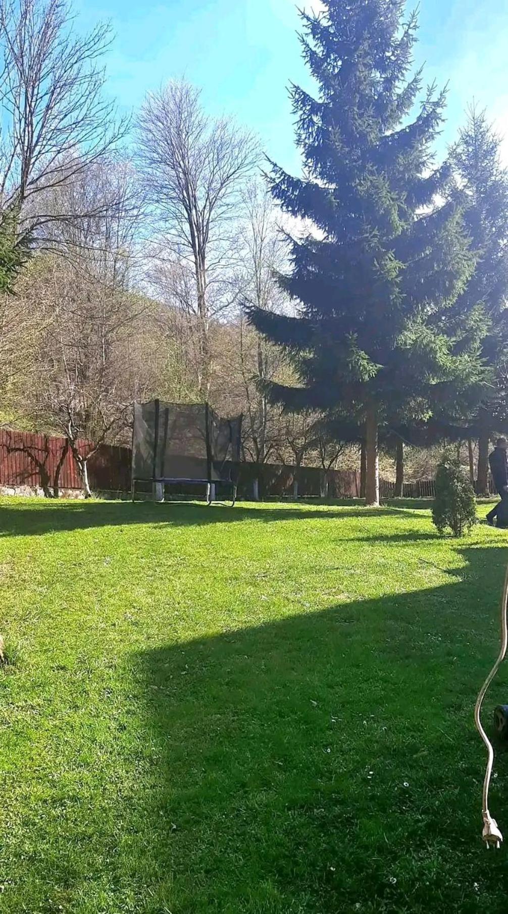 Casa Aris Lepsa Vrancea Hotel Bagian luar foto