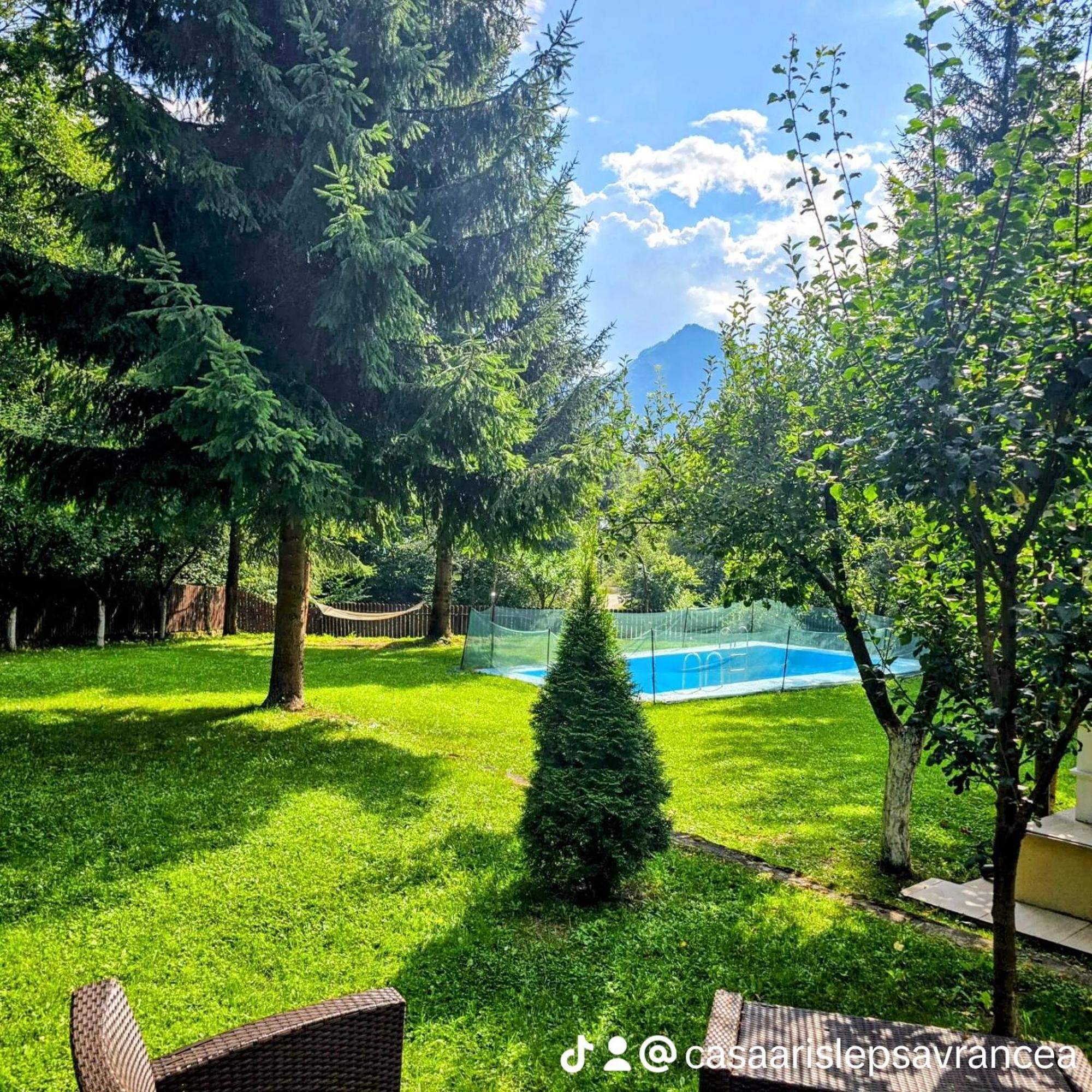 Casa Aris Lepsa Vrancea Hotel Bagian luar foto